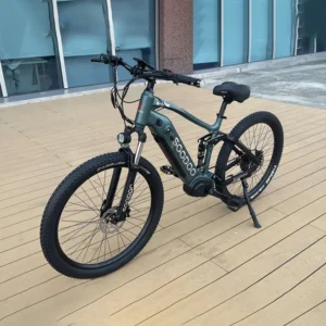 Mid Motor Ebike