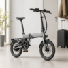 FoldRide 350W Folding E-Bike